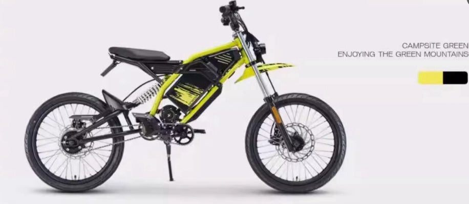 EX1 Electric Bike